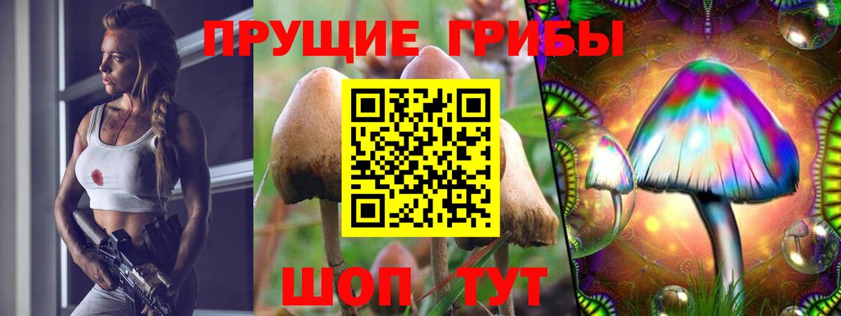 Псилоцибиновые грибы GOLDEN TEACHER  Вход с VPN  Корсаков 